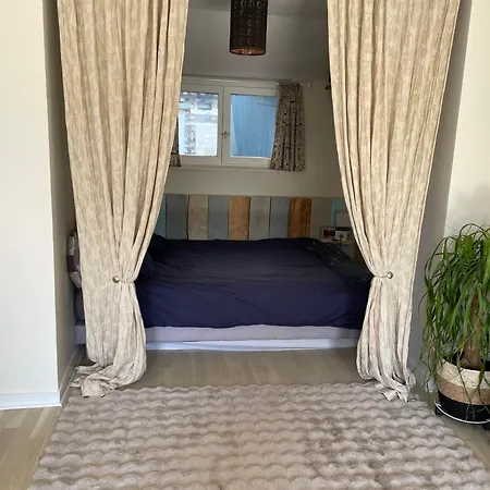 Stella Mare A 300m De La Classee 3 Etoiles Bed & Breakfast 4*